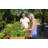 Roumen Elevated Planter