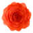 Orange / Rouge est en rupture de stock