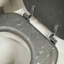 Tiger Toilet Seat Glitter MDF Grey