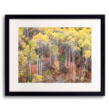 Swan Valley Autumn Portrait #1 Print by Bruce Heinemann