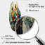 Two Parrots On Branch I - Parrot Curved Shape Metal Wall Sculpture-1624513102