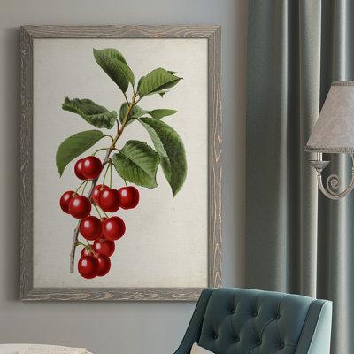Antique Fruit II - Cadre photo unique, impression sur toile