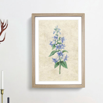 Bellflowers by Pierre-Joseph Redoute - Framed Print