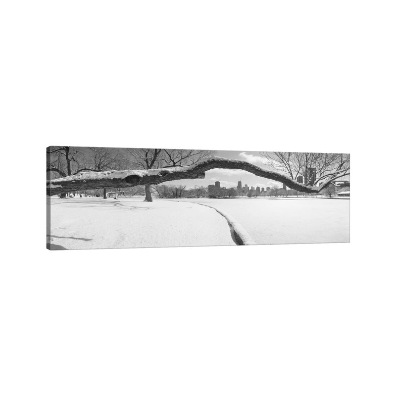 Bare Trees In A Park, Lincoln Park, Chicago, Illinois, USA - Wrapped Canvas Panoramic Print