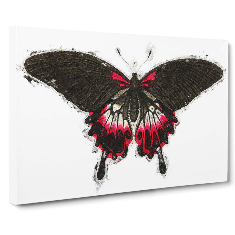Swallow-Tailed Butterfly by George Shaw - Wrapped Canvas, 35cm H x 50cm W x 3cm D