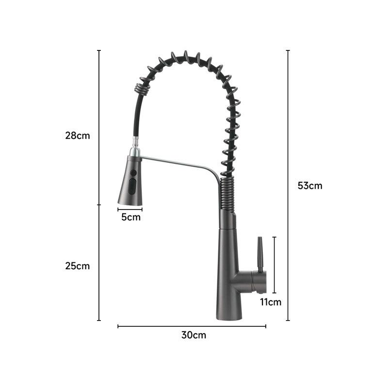 Belfry Kitchen Pull Down Kitchen Faucet