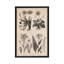 «New British Herbal Sketch», impression sur toile-10875267-73924727-73924728