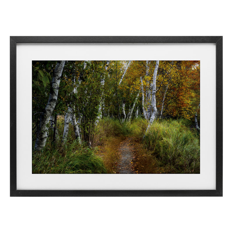 «Walk In The Hemlocks Forest», reproduction encadrée sous verre, conception de D. Burt, H 14 po x l 20 po, Cadre noir minuit