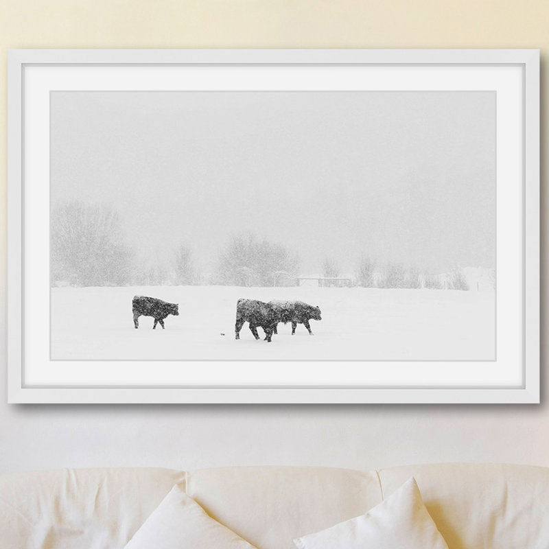 « roaming the land », reproduction de photo sur papier encadrée, H 30 po x l 45 po x P 1,5 po