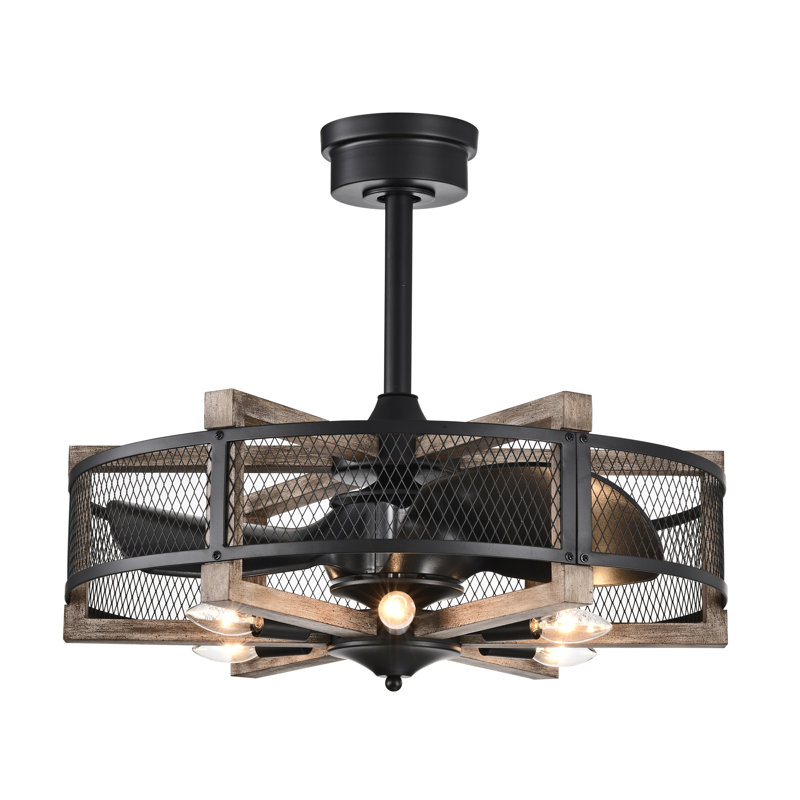 Ventilateur de plafond en cage à 3 pales 12,99 "avec télécommande et ensemble d'éclairage inclus Sheanna