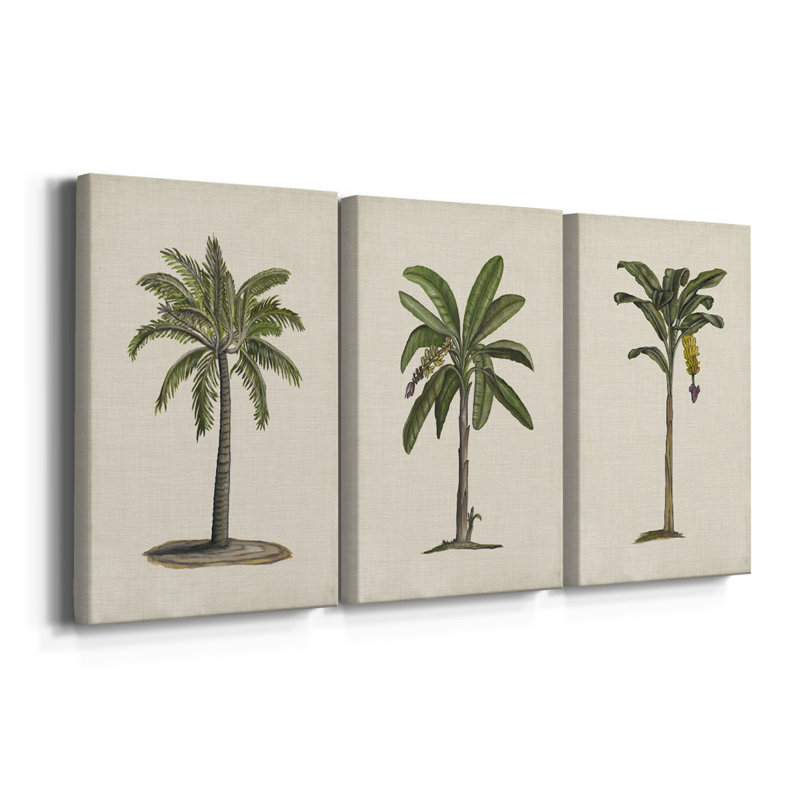 3 toiles de palmier britannique AU CH - British Palms I, H 12 po x l 24 po