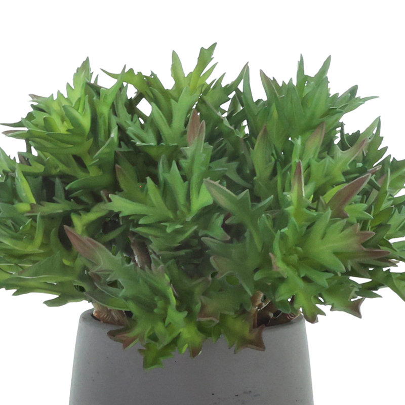 Agave disposée en pot de Fiberstone