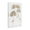 «Soft Geranium Florets» par Roy Ebert