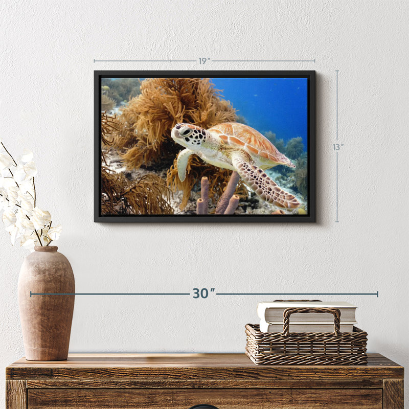 Turtle Reef Canvas Print, 13" H x 19" W