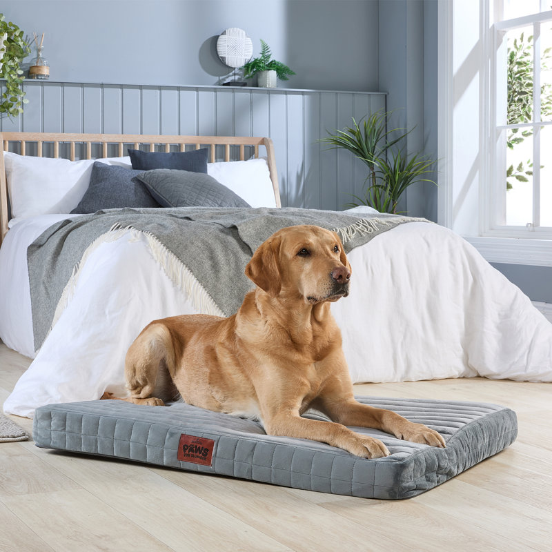 Slumberdown Orthopaedic Firm Support Crate Mattress Pet Bed, Grey, 100cm H x 70cm W x 9cm D
