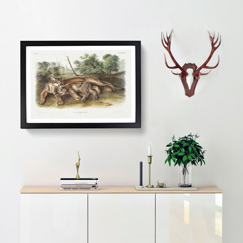 Two Cougars by J.W. Audubon - Framed Print, 36cm H x 48cm W x 2cm D, Black Framed