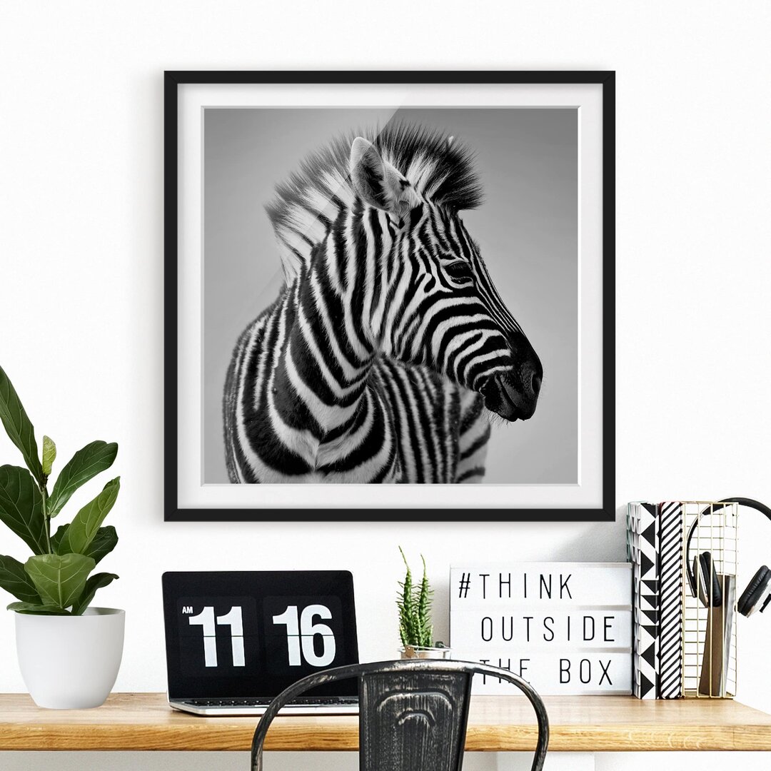 Gerahmter Fotodruck Baby Zebra Portrait II