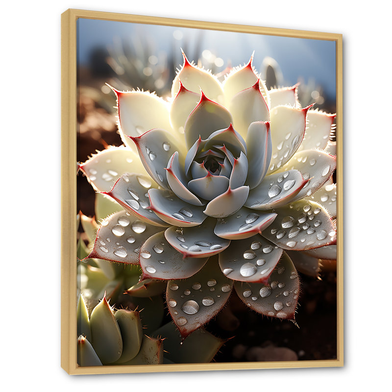 Cactus pêche - piqures de cactus, H 32 po x l 16 po x P 1 po, Cadre naturel flottant