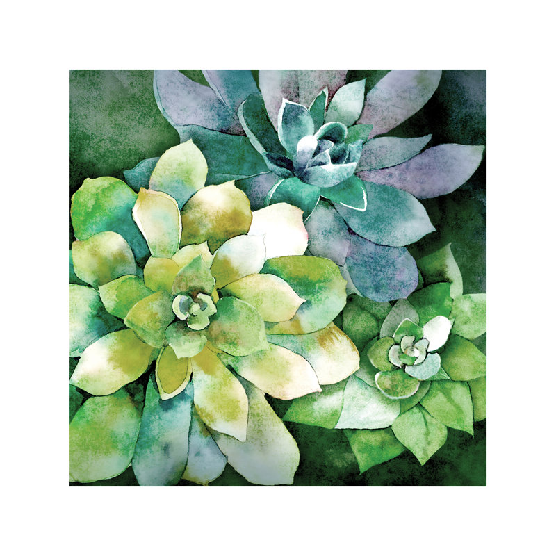 Summer Succulents by Conrad Knutsen - Wrapped Canvas Print, 66.04 cm H x 66.04 cm W x 1.91 cm D