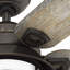 Ventilateur de plafond standard 54 po à 5 pales avec chaînette et ensemble d'éclairage inclus Biscayne 54 po-56005342