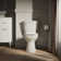 Cimarron™ 1.28 GPF Water Efficient Round Two-Piece Toilet (Seat Not Included)