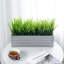 24.9cm Faux Herbs Grass in Cement Planter