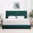Artrina Upholstered Tufted Platform Bed-659871573-659871572