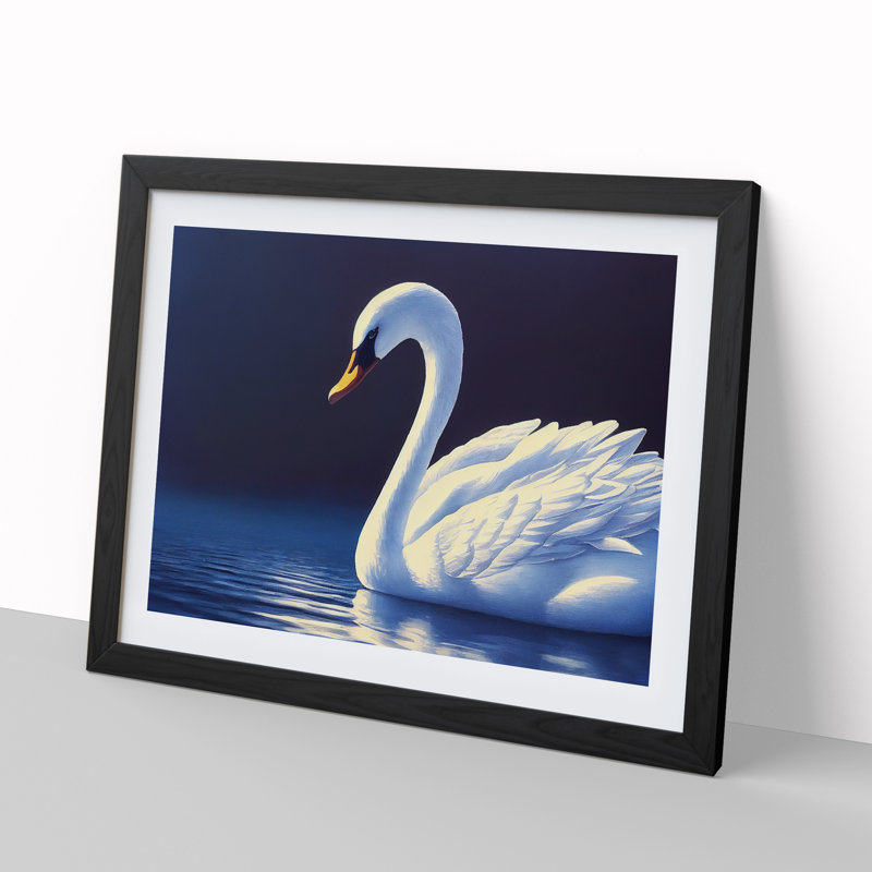 Ravishing Swan - Single Picture Frame Print, Black Framed, 46cm H x 64cm W x 2cm D