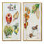 «Set of Apple Botanist II», ensemble de 2 impressions sur toile-950474917-950474943