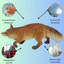 Fox Polyresin Garden Statue