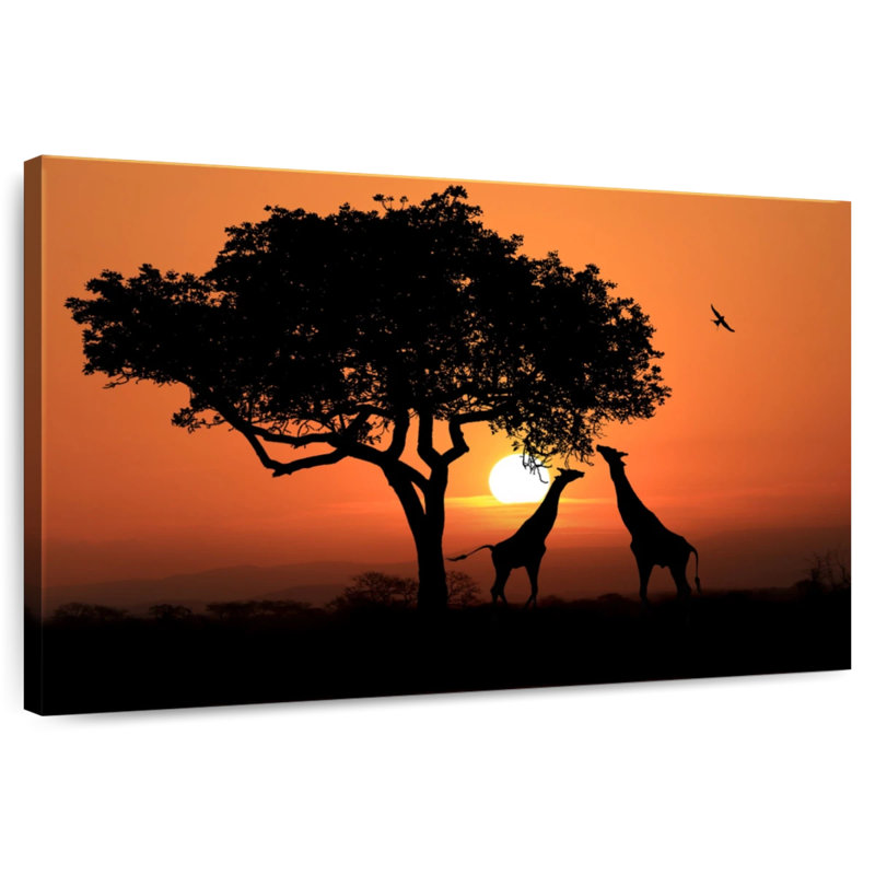Couple de girafes Brampt au coucher du soleil