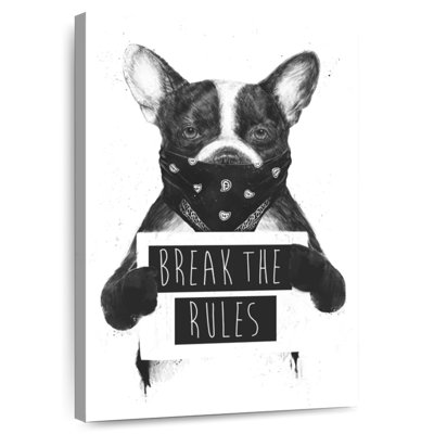 Chien rebelle blanc Tergel