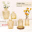 Ensemble de 36 petits vases à fleurs en verre (champagne), vases à fleurs transparents de forme variée, parfaits pour les centres de table de mariage rustiques et la décoration intérieure. Bouteilles en verre vintage.