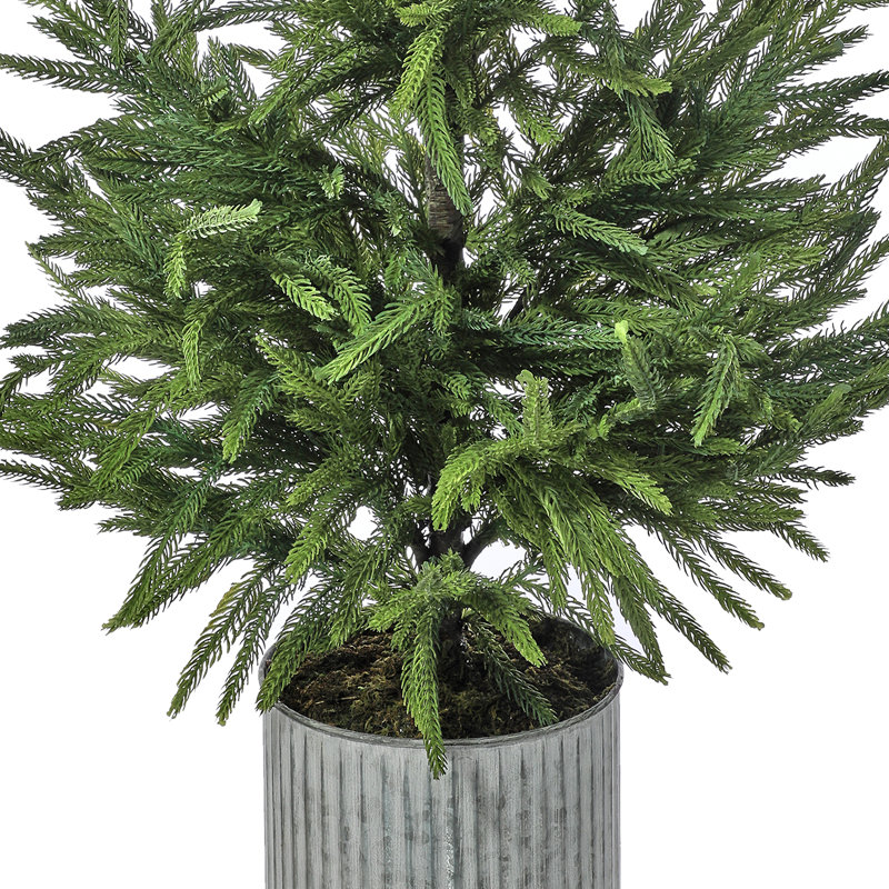 Arbre de Noël Harlamert 36
