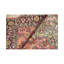 Oriental Area Rug