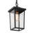 Cosimo 1-light Outdoor Handing Lantern