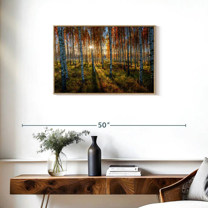 Forêt de bouleaux suédois, Cadre flottant en bois naturel, 31 po x 21 po
