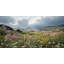 Art mural sur toile Seaside Wildflowers-118374573