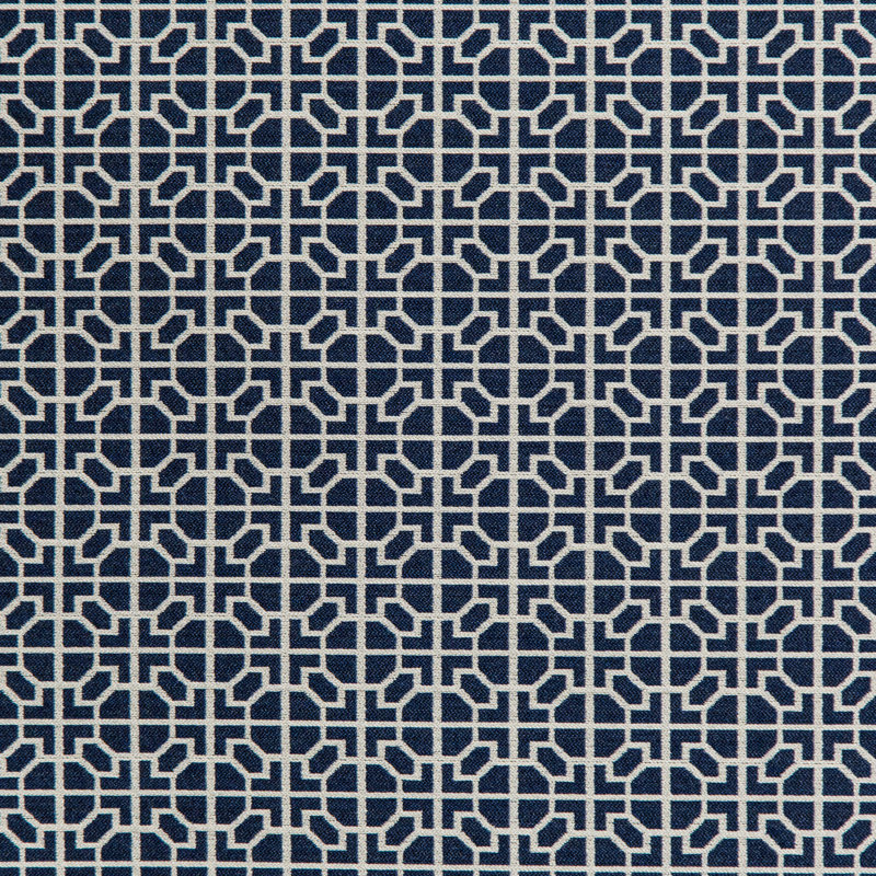 Raia Fabric, Navy