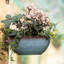 Planter-889664193