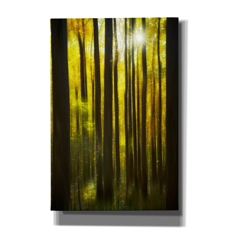 «Autumn Forest Dream» par Rick Berk, art mural sur toile, H 18 po x l 12 po x P 0,75 po