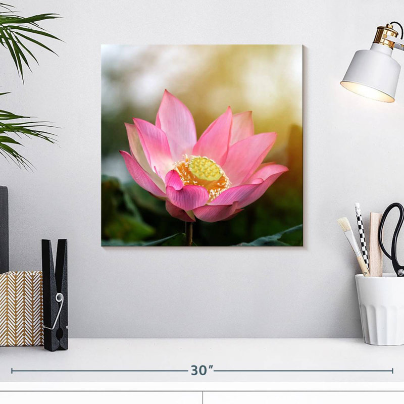 Harnek Lotus au soleil, H 16 po x l 16 po