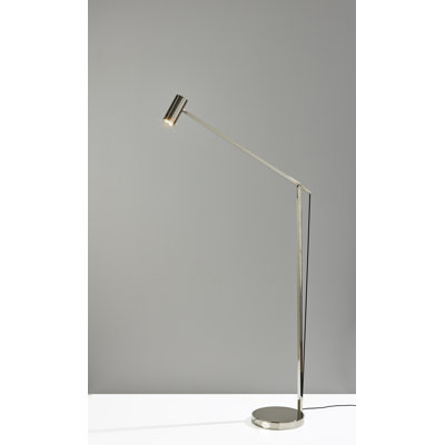 Newman 58'' LED Task Floor Lamp
