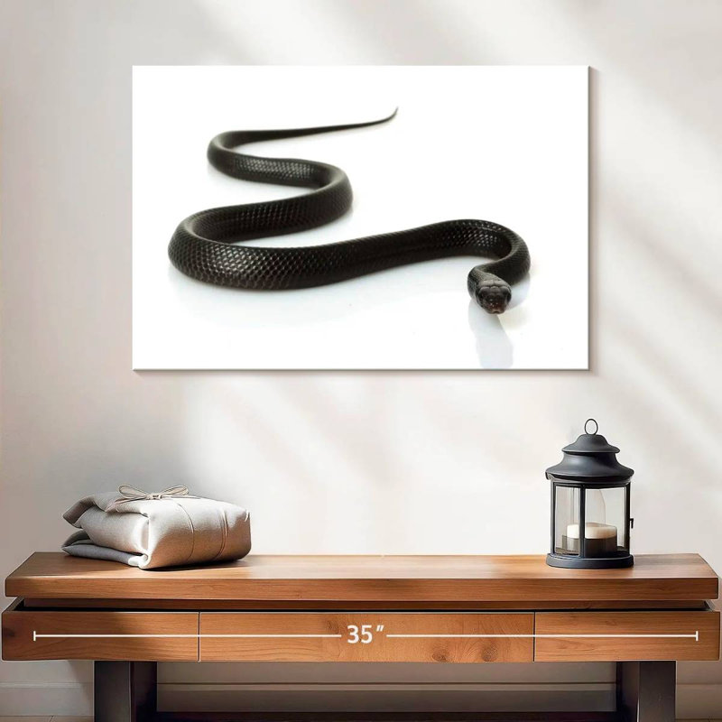 Brampt Eastern Indigo Snake, 16" H x 24" W