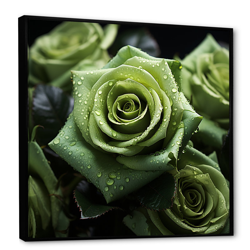 «Realistic Green Roses Bloom I», reproduction sur toile, H 36 po x l 36 po x P 1,5 po, Cadre flottant noir
