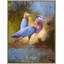 Birds-289796318-289796304