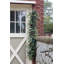 Tree Lot 72 " Spruce Garland