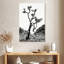 Harnek, Californie, noir, Joshua Tree-108243199