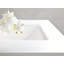 Iron Plains Dual-Mount Bathroom Sink-1490869901