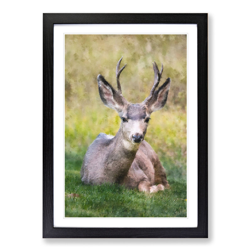 A Resting Deer - Picture Frame Painting, Black Framed, 48cm H x 36cm W x 2cm D